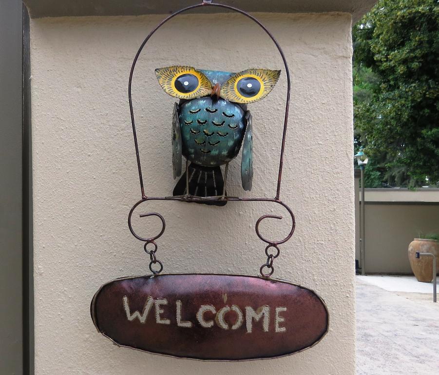 Dunton Guest House ヨハネスブルグ エクステリア 写真